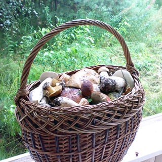 На фото: плетеная корзина полная грибов, на заднем плане - лесная растительность